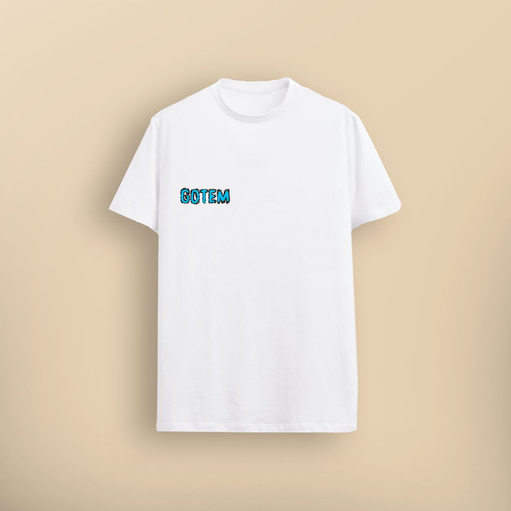 Tee shirt oversized fit "DRAKE"