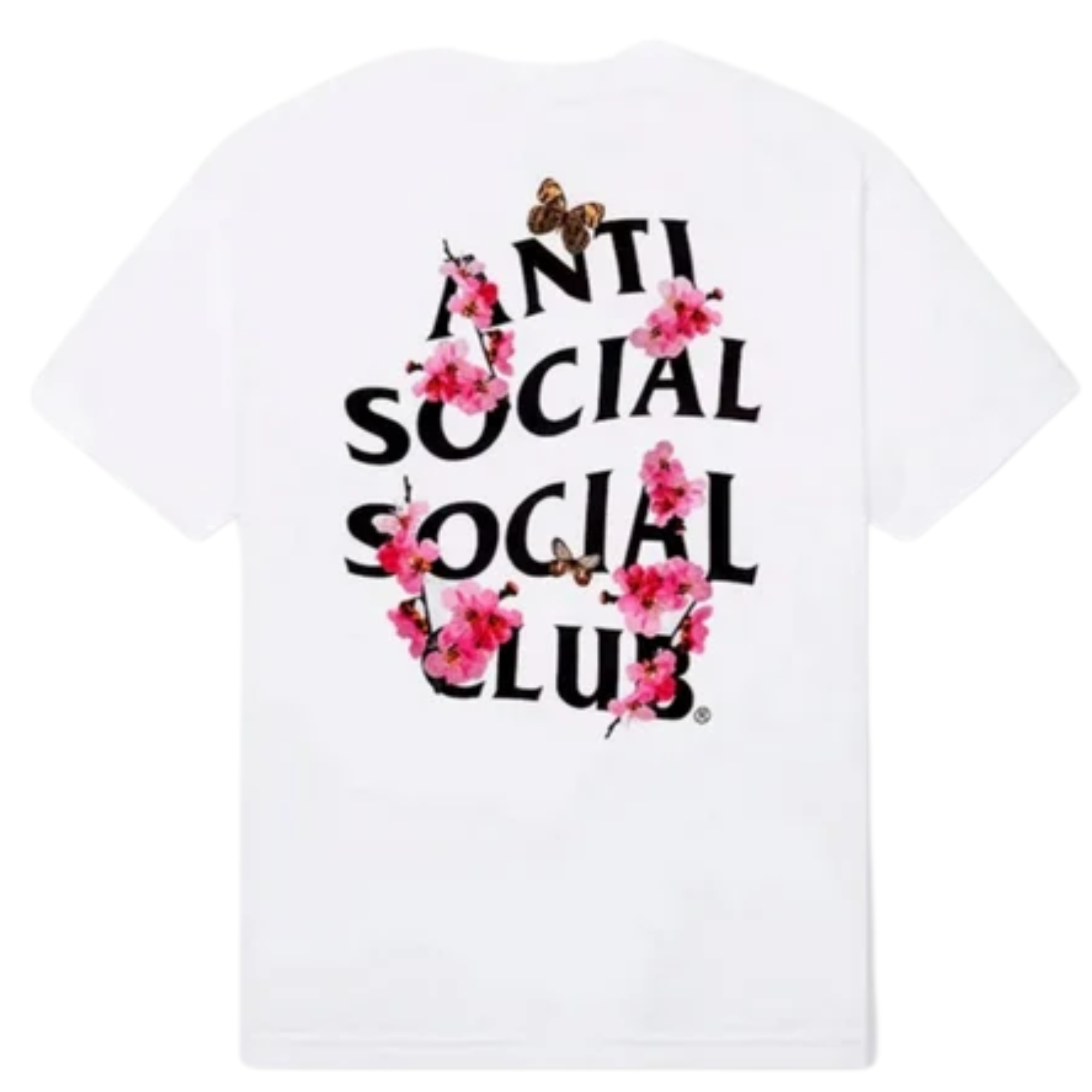 ASSC Rosa